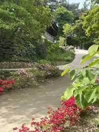🌳 바다를 품은 식물들의 낙원, 천리포수목원