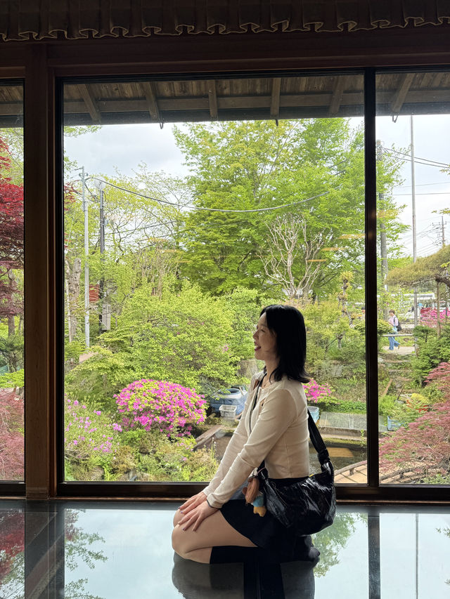 일본 가와구치코 근처 사진 찍기 좋은 곳