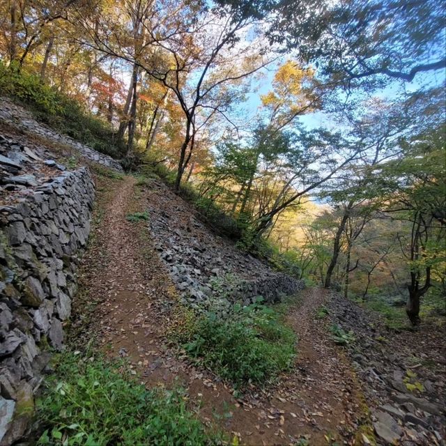 Quiet Trails Baekamsan