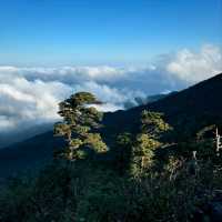 Jirisan Summit Was a Beast (But Worth It)