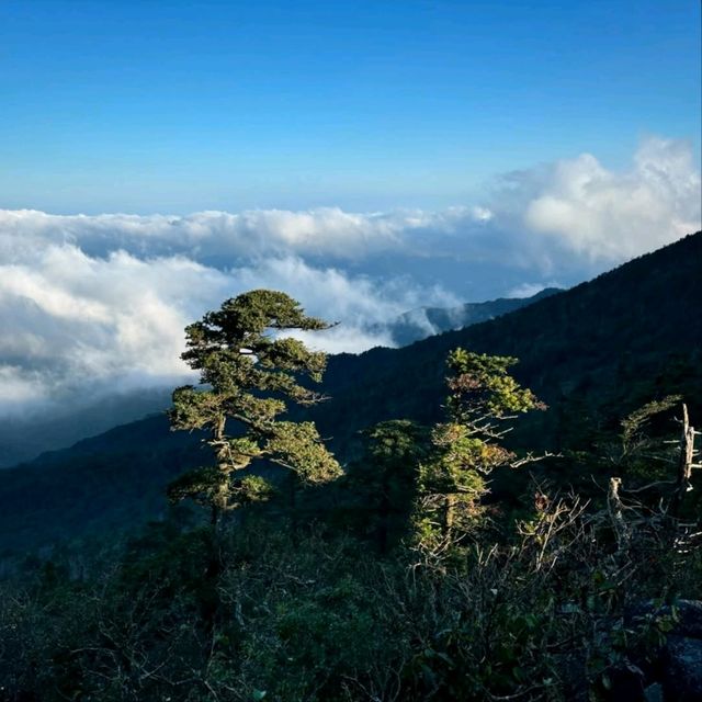 Jirisan Summit Was a Beast (But Worth It)