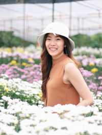 เที่ยวสวนบิ๊กเต้