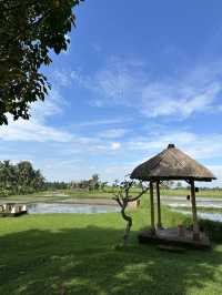 🌿A 2D1N Quick & Dreamy Escape into Bali’s Jungle Heart - Ubud