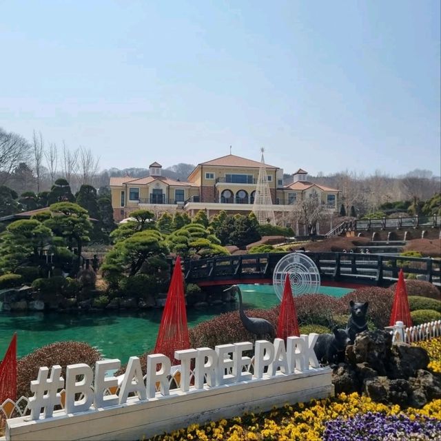 Bear Tree Park is a Whole Mood