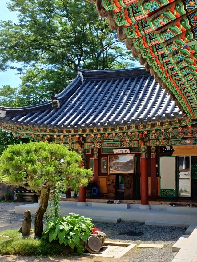 숲속의 감성 충전소, 장춘사 데이트 🌲