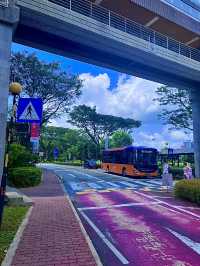 สิงคโปร์🇸🇬