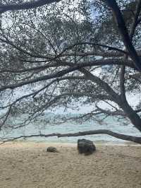 relax with the beach view 