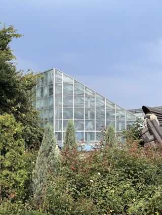 Jeonju Arboretum Couple Date Course 🩵