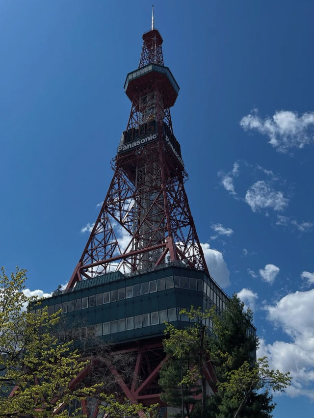 🎯【北海道・札幌大通公園】イベントと緑に彩られる、四季の都市公園