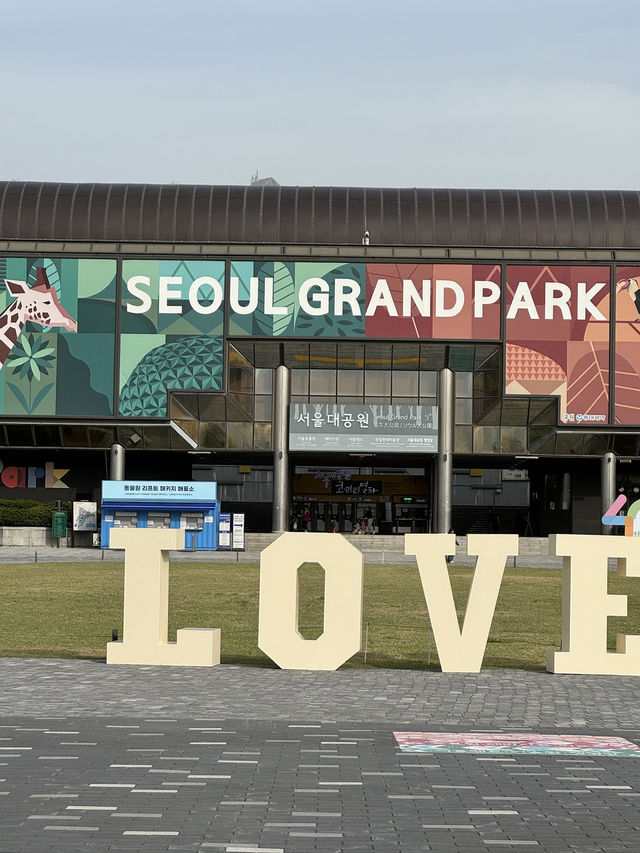 🐾 초여름, 서울대공원에서 만난 작은 자연
