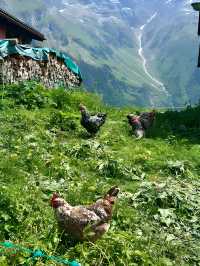 Adjacent to Swat, the Switzerland of Pakistan - Scenic Kumrat Valley with very budget options