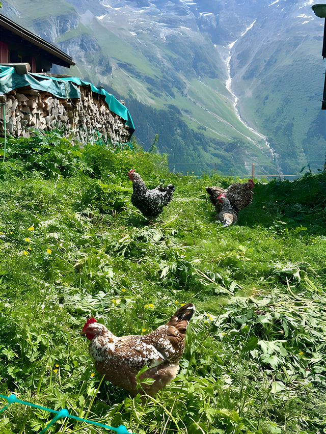 Adjacent to Swat, the Switzerland of Pakistan - Scenic Kumrat Valley with very budget options