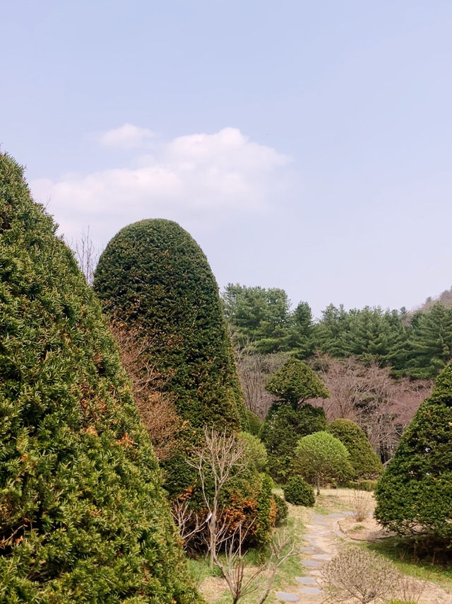 봄 꽃이 말을 거는 계절