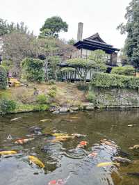 จุดเช็คอิน ที่สวยงามในคุมาโมโตะ🇯🇵