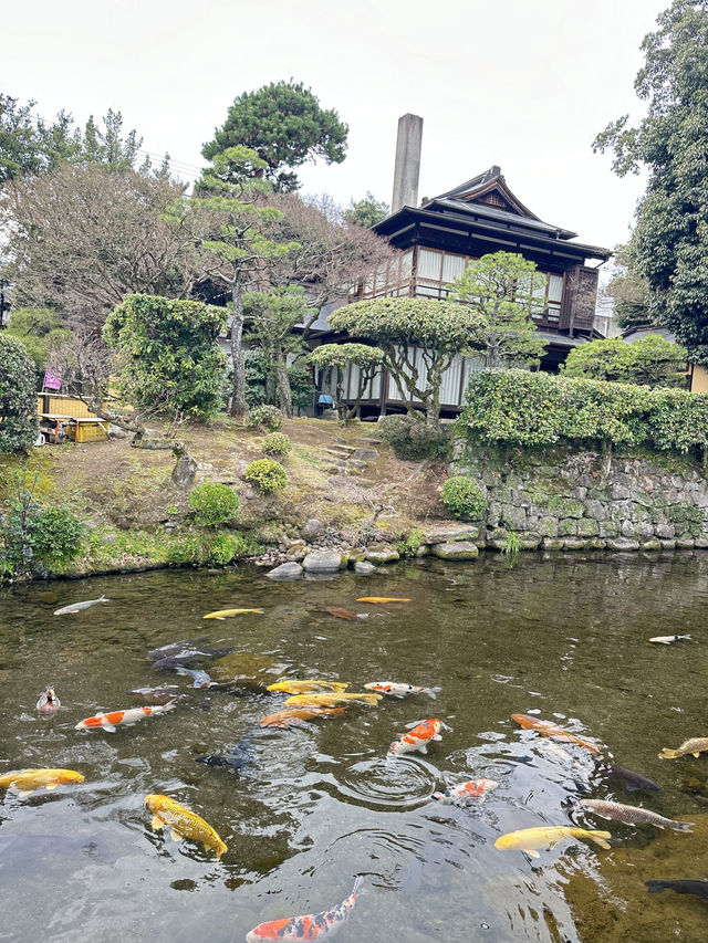 จุดเช็คอิน ที่สวยงามในคุมาโมโตะ🇯🇵