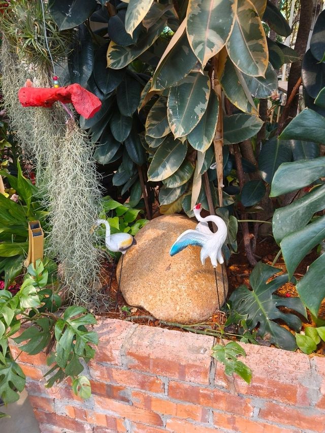 A Touch of Nature in the City – Budget Garden Spot in Hong Kong