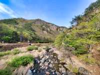 Rocky Rivers & Forest Feels