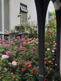 Fleur Cafe & Eatery คาเฟ่สไตล์สวนอังกฤษในแม่ริม