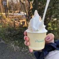【新潟🇯🇵】POPな店内に本格派ジェラート🍨popolo