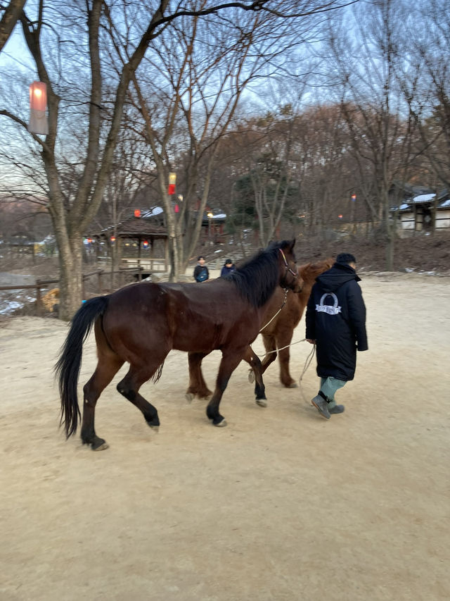 용인에서 하루 완벽하게 보내기: 명태조림 + 민속촌 체험