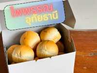 ไพพรรณ อุทัยธานี 