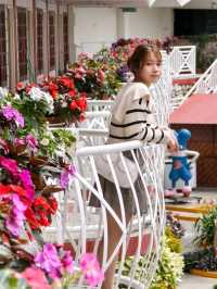 3 Days 2 Nights in Cameron Highlands – Cool Air, Colorful Gardens & Tea Views 🌸🍃