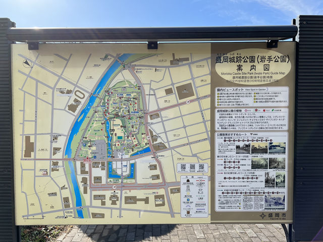 🏞️ Strolling Through History – Morioka Castle Site Park (Iwate Park)