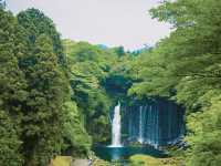 น้ำตก Shirato (Shiraito Falls / 白糸の滝) 