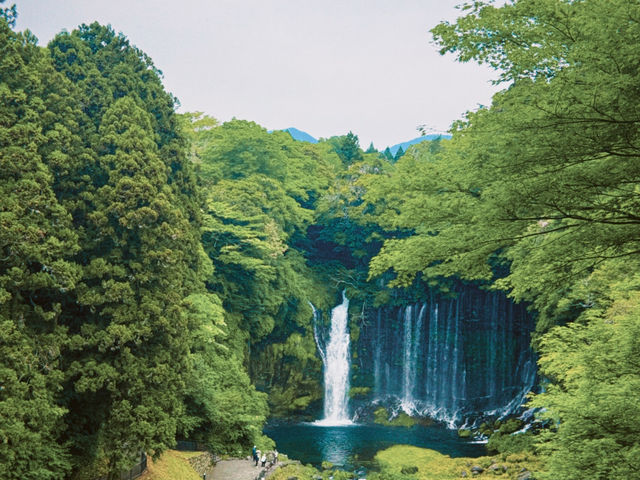 น้ำตก Shirato (Shiraito Falls / 白糸の滝) 