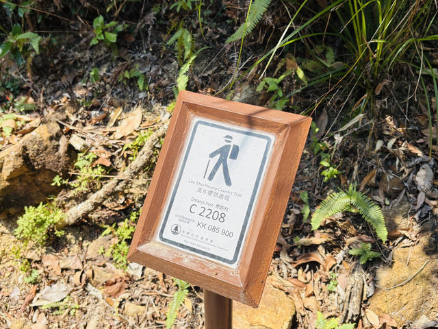 香港行山徑流水響