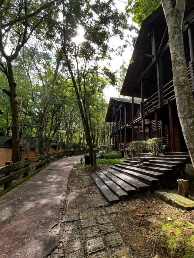 🍃✨ Philea Resort & Spa Melaka – Sleep in a Wooden Wonderland! 🏡🌿