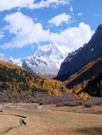 ที่พักในอุทยานย่าติง 🏨🏔️