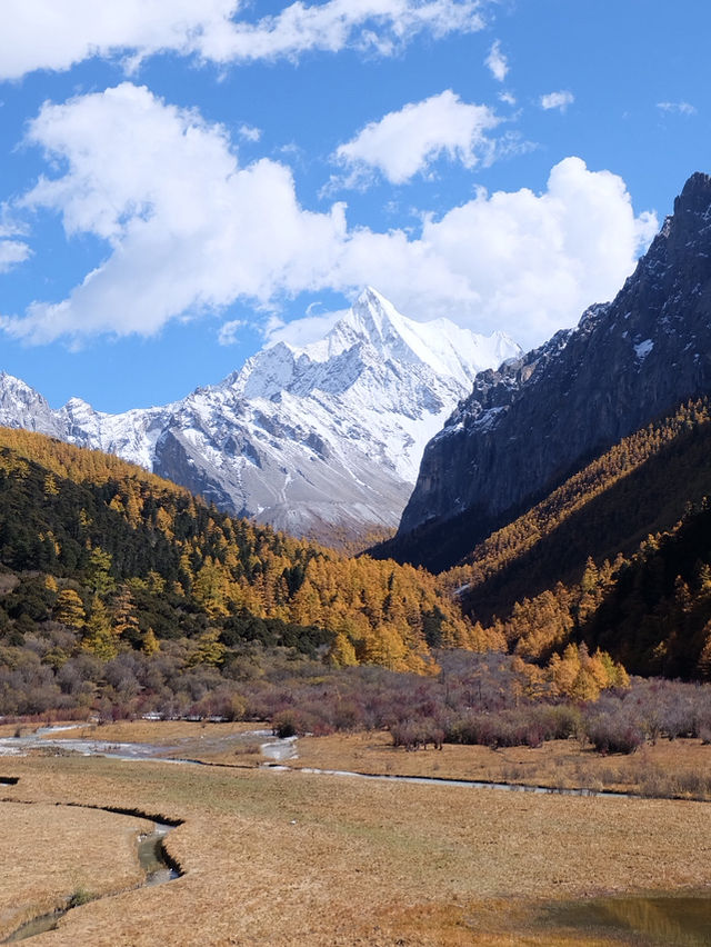 ที่พักในอุทยานย่าติง 🏨🏔️