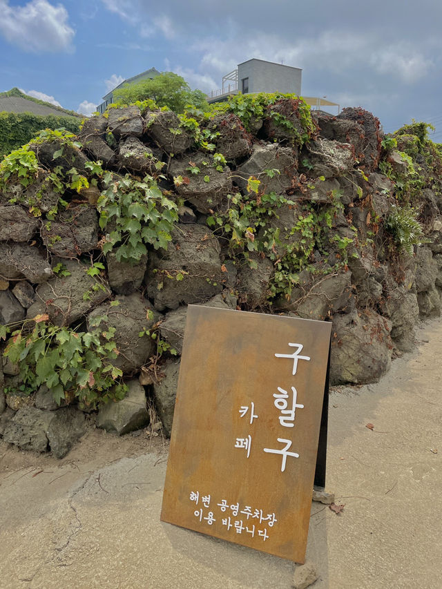 🌲 제주 숲 카페 후기 ☕