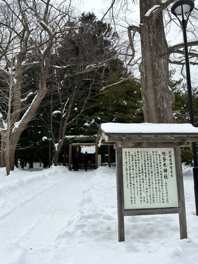 走進北國神域！北海道神宮四季皆美，冬雪中的參拜體驗絕對神聖又浪漫⛩️❄️🌸 