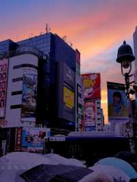 A must-know before visit to Shibuya!