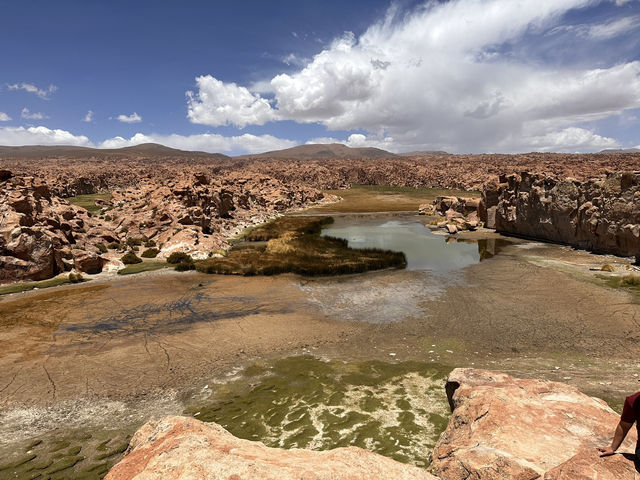 【Laguna Negra（ラグナ・ネグラ）｜ボリビア・アルティプーノにひっそり佇む「黒い湖」】