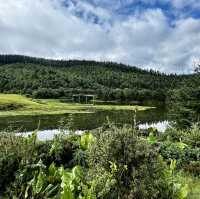 Find tranquility trekking through nature’s beauty