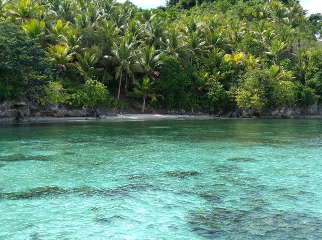 Togean Islands, Central Sulawesi