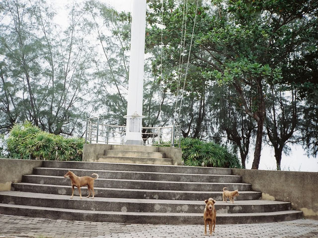 1 Day trip สงขลาเมืองเก่า
