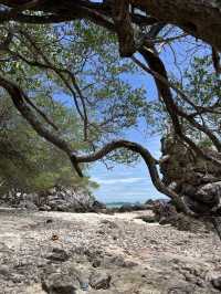 เที่ยวชลบุรี  เกาะล้าน