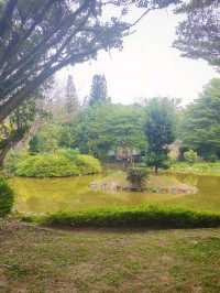 🌸 Discover Tranquility at Taman Jepun , Ipoh 🌸