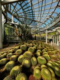 📸 Cactus Dreams: Xiamen’s Most Instagrammable Garden