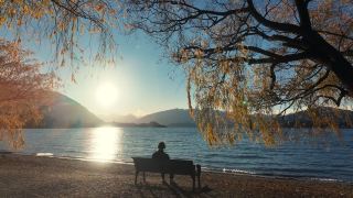 Autumn In New Zealand 