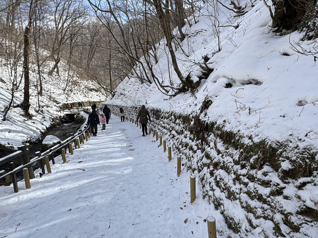 ❄️輕井澤冬日一日遊：雪中散步 × 美食 × 購物小確幸❄️