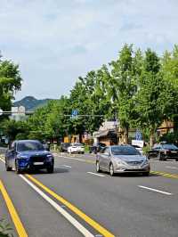 Seoul City Vibes in late June (Summer)