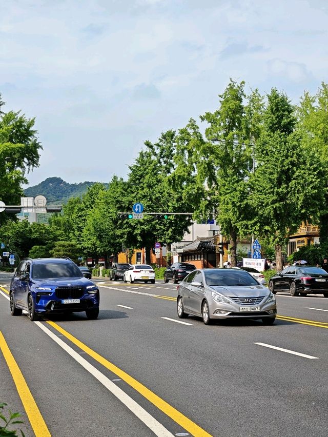 Seoul City Vibes in late June (Summer)