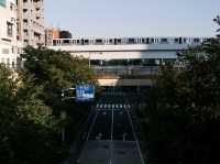 東京之美 等你來體會