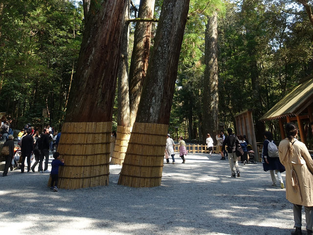 ⛩️ Sacred Stillness in Ise – A Soulful Walk Through Kotai Jingu