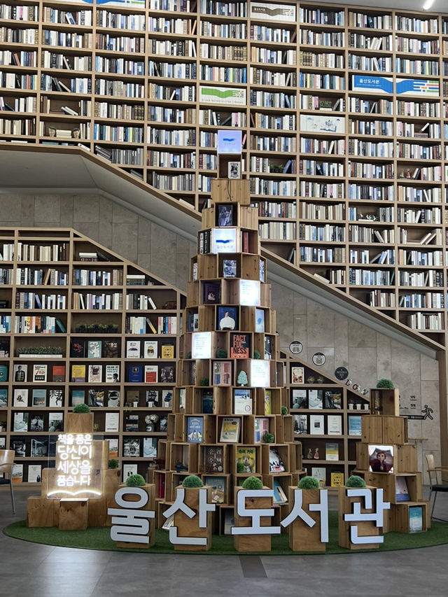📚 비 오고 더운 여름 딱! 울산도서관 실내 데이트코스 ✨